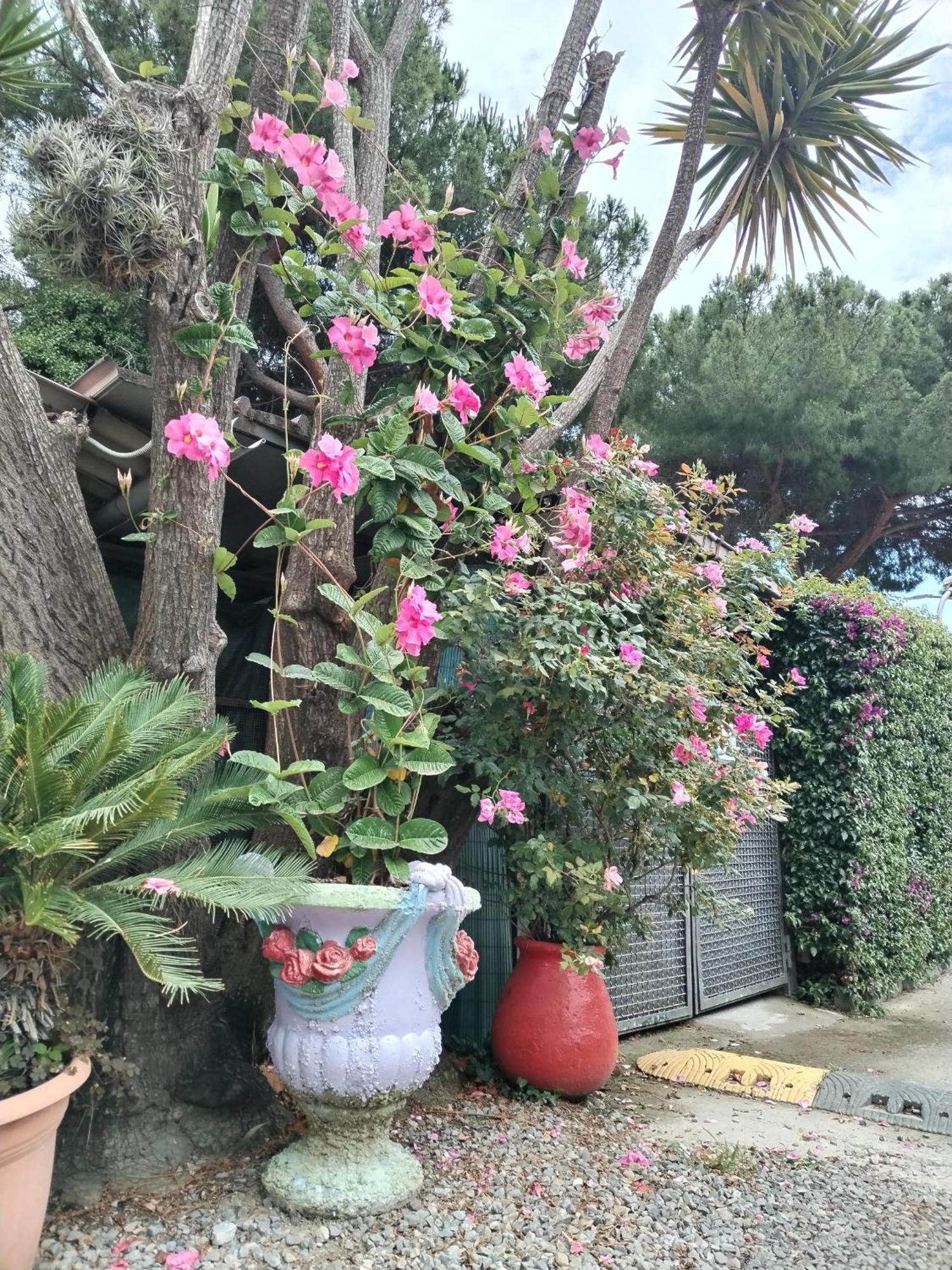 Ferienpark Roma Ventimiglia