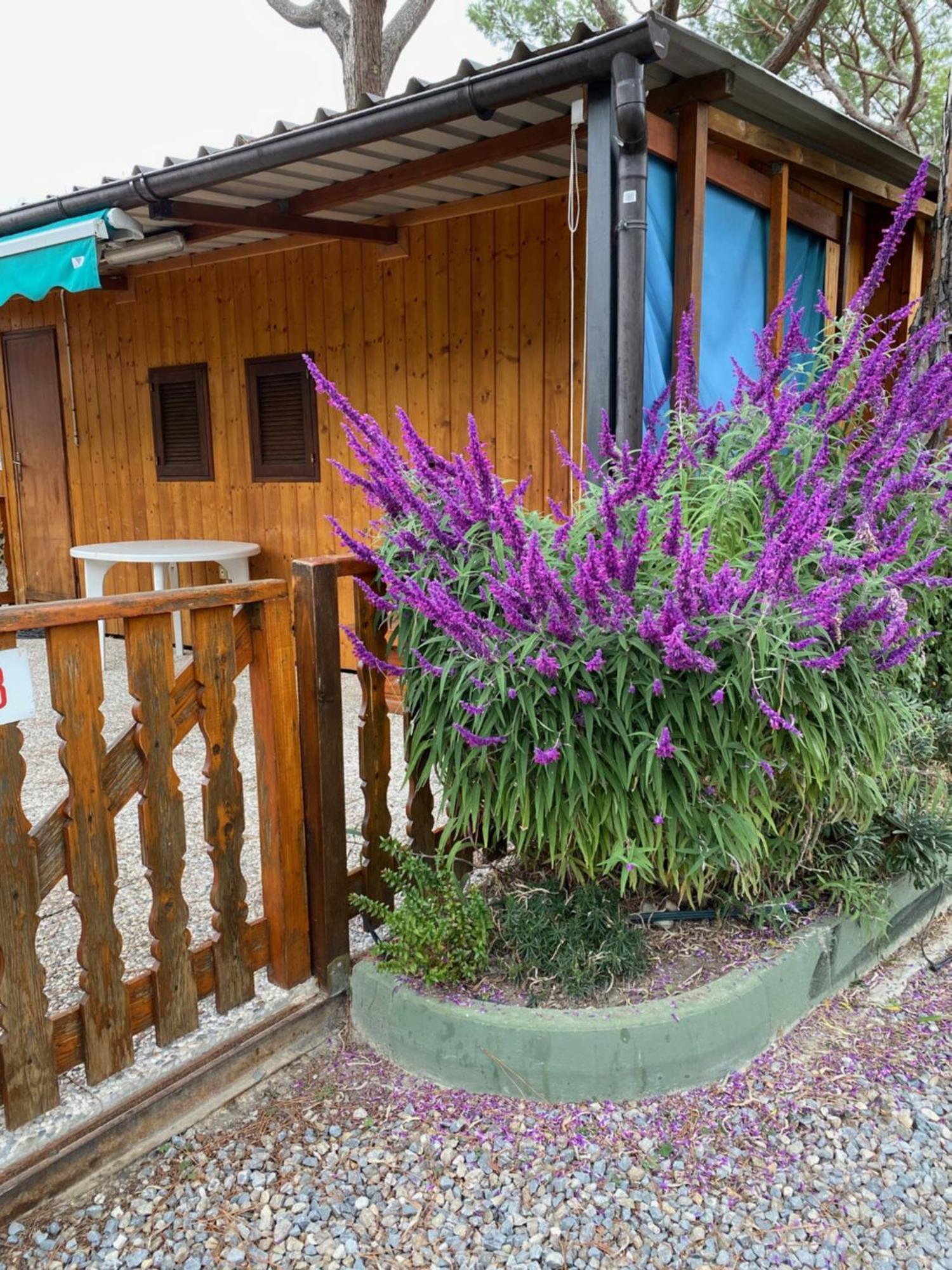 Roma Vakantiepark Ventimiglia