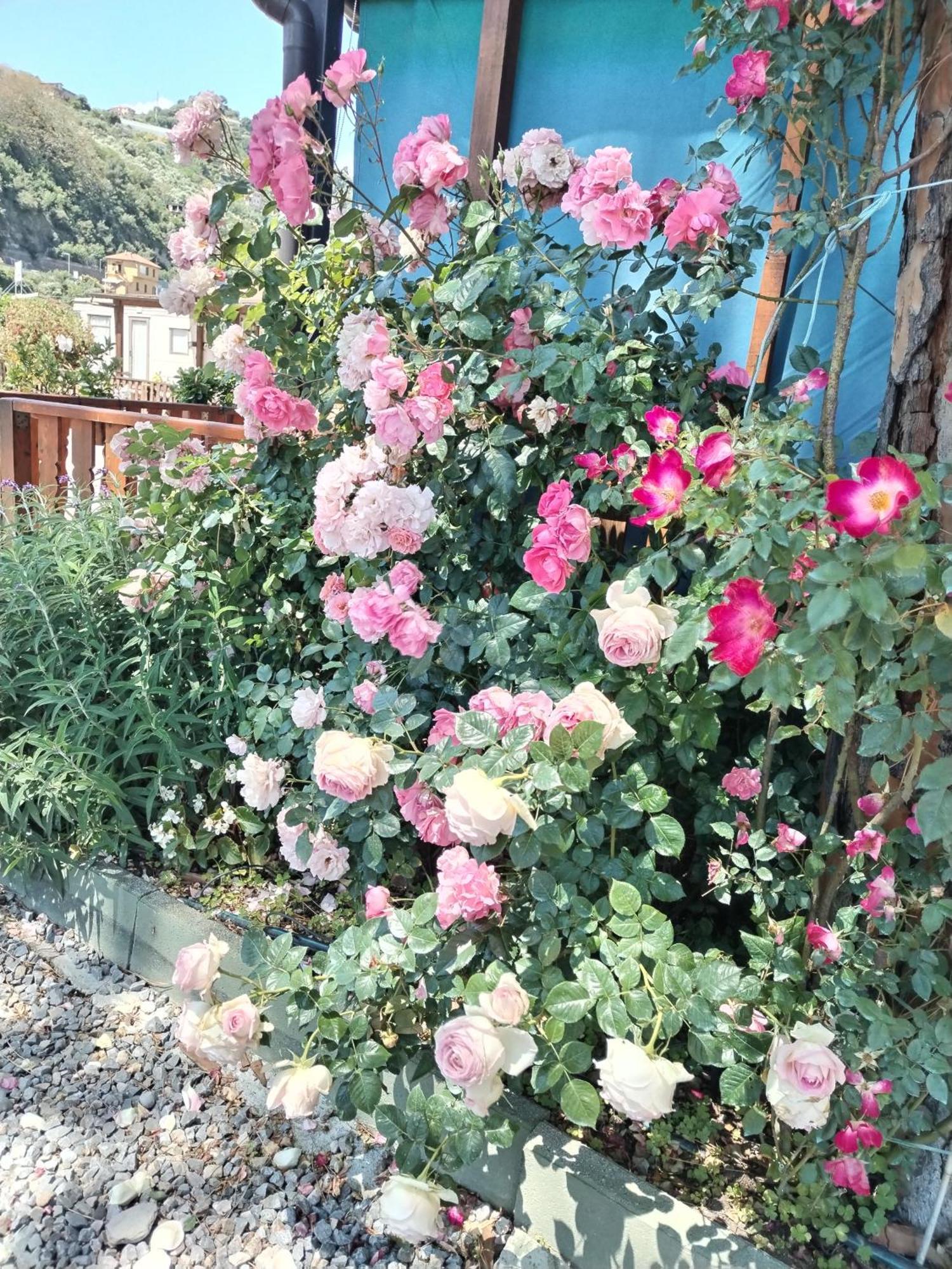Holiday park Camping Roma
