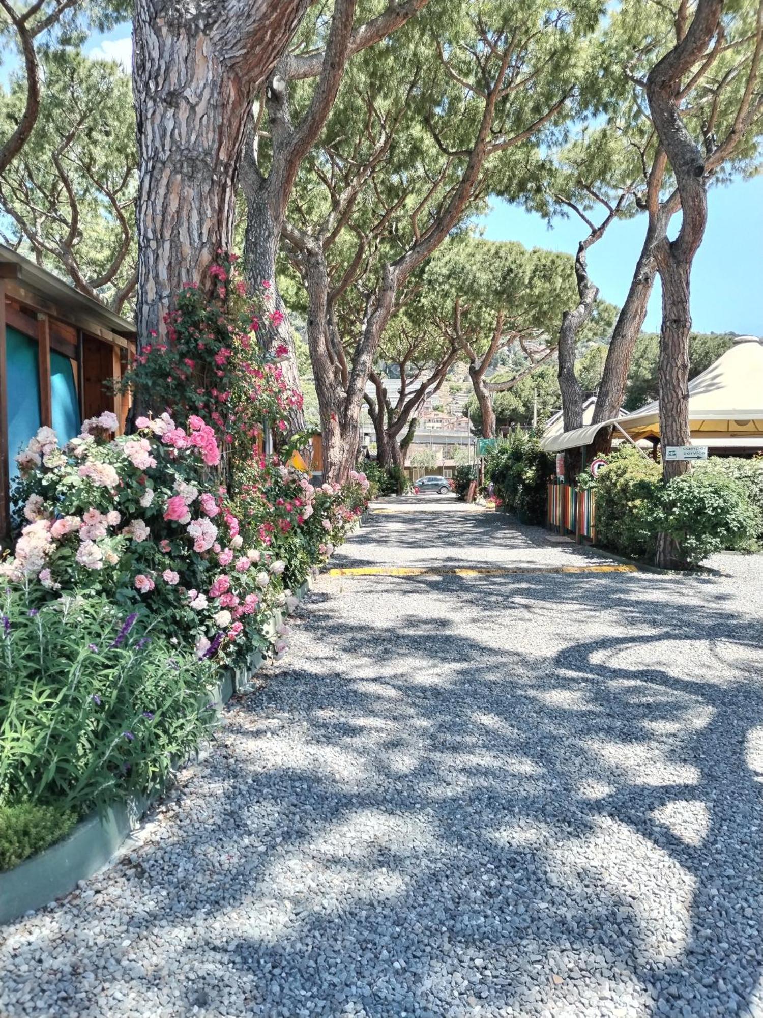 Vakantiepark Roma 3*