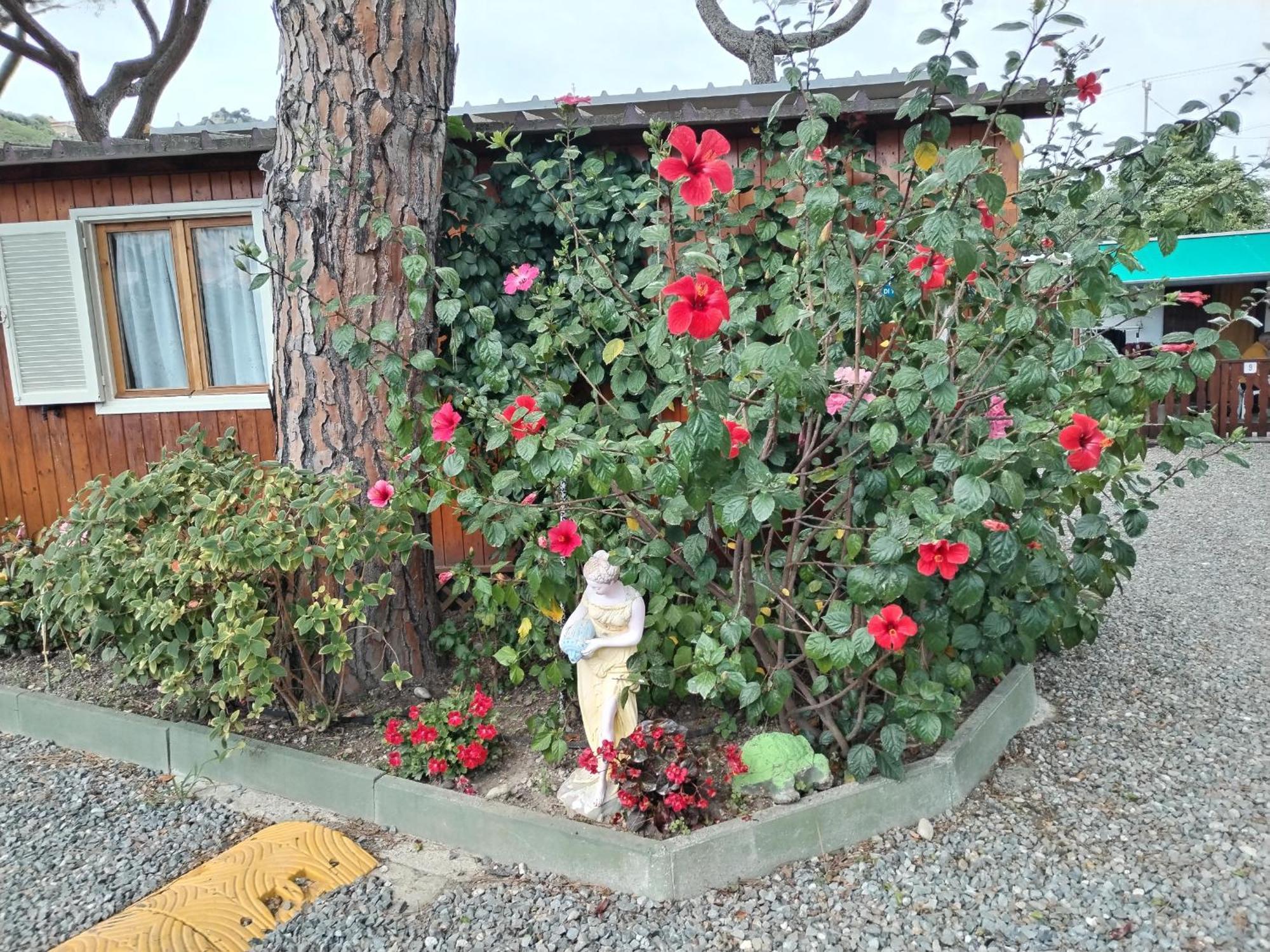 Holiday park Camping Roma 3*