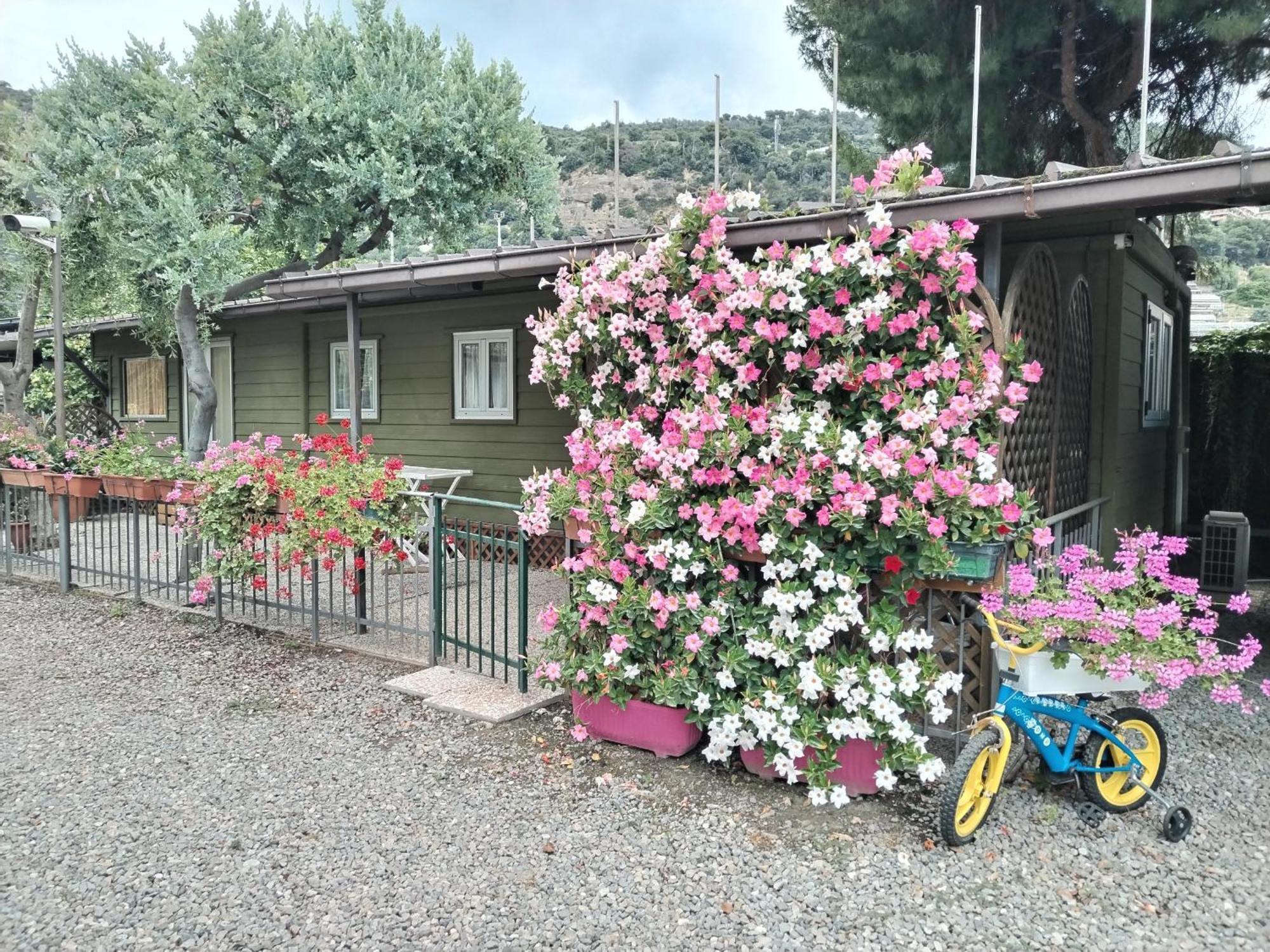 Holiday park Camping Roma