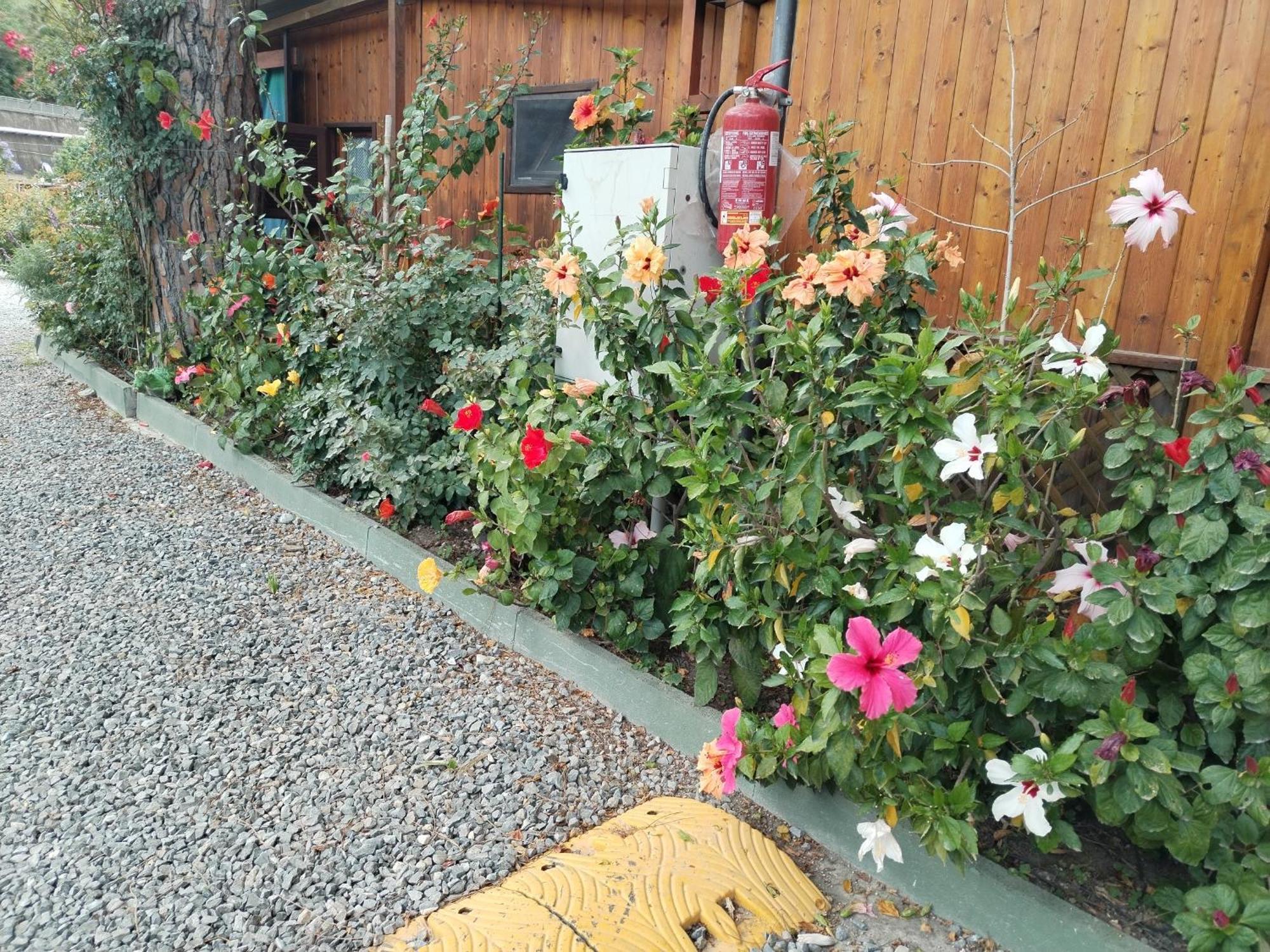 Holiday park Camping Roma 3*